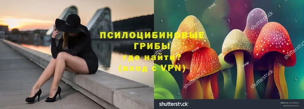 синтетический гашиш Алексин