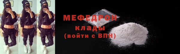 дмт Ельня
