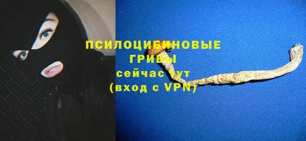 ECSTASY Алексеевка