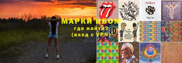крисы Алзамай
