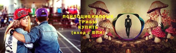 крисы Алзамай