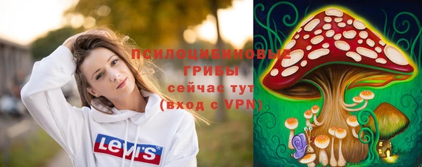 ECSTASY Алексеевка