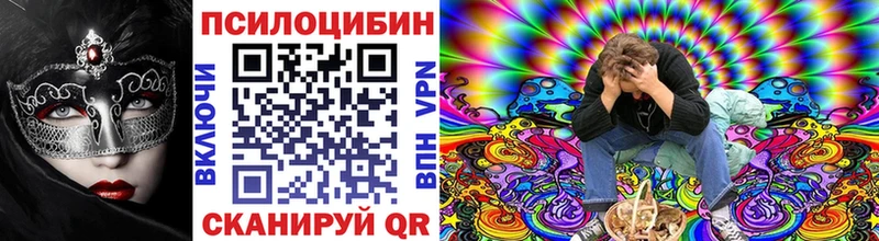 маркетплейс официальный сайт  hydra зеркало  Копейск  Псилоцибиновые грибы Psilocybine cubensis 